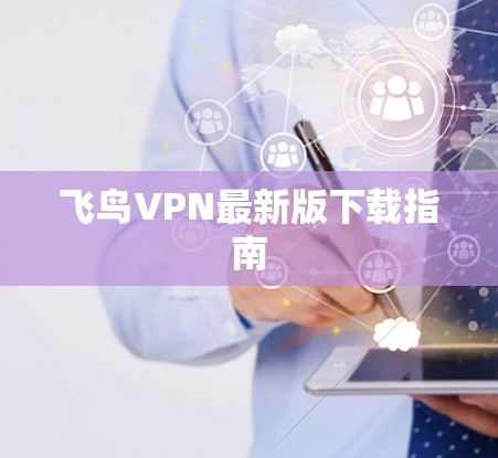 飞鸟VPN最新版下载指南