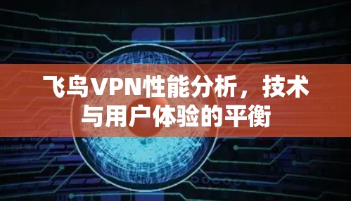 飞鸟VPN性能分析，技术与用户体验的平衡