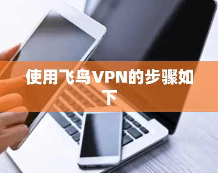 使用飞鸟VPN的步骤如下