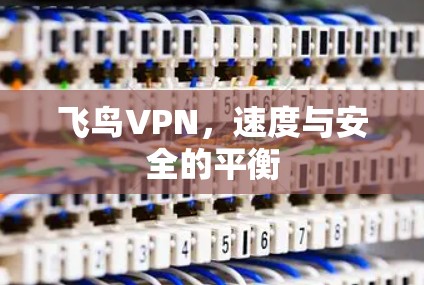 飞鸟VPN，速度与安全的平衡
