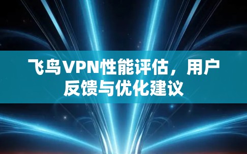 飞鸟VPN性能评估,用户反馈与优化建议