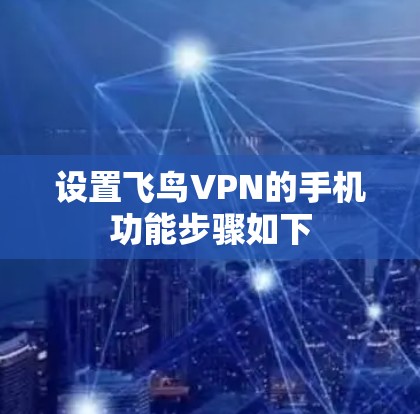 设置飞鸟VPN的手机功能步骤如下