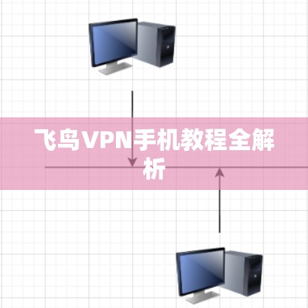 飞鸟VPN手机教程全解析