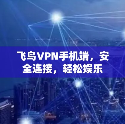 飞鸟VPN手机端，安全连接，轻松娱乐