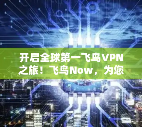开启全球第一飞鸟VPN之旅！飞鸟Now，为您的网络带来震撼！