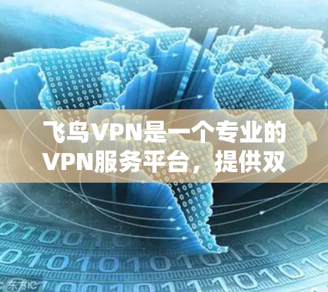 飞鸟VPN是一个专业的VPN服务平台，提供双倍速率和多种加密方式，是用户值得考虑的选择。以下是对飞鸟VPN的详细介绍和使用建议