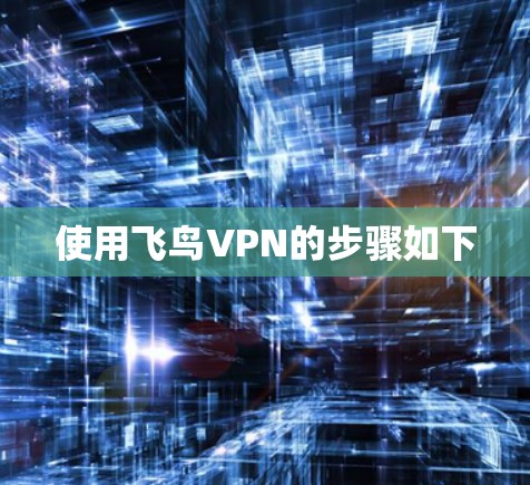 使用飞鸟VPN的步骤如下