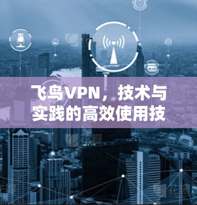 飞鸟VPN，技术与实践的高效使用技巧