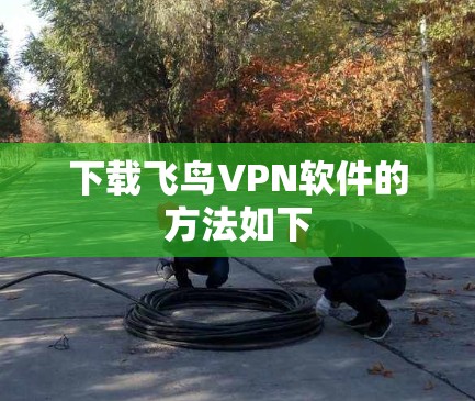 下载飞鸟VPN软件的方法如下