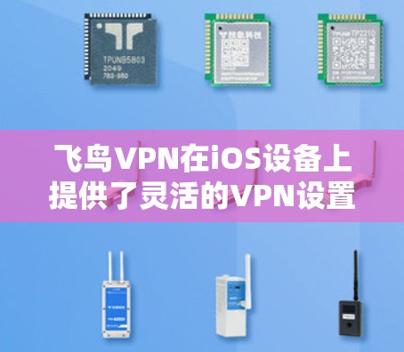 飞鸟VPN在iOS设备上提供了灵活的VPN设置,以下是具体的使用指南