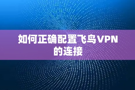 如何正确配置飞鸟VPN的连接