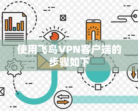 使用飞鸟VPN客户端的步骤如下