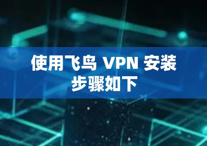使用飞鸟 VPN 安装步骤如下