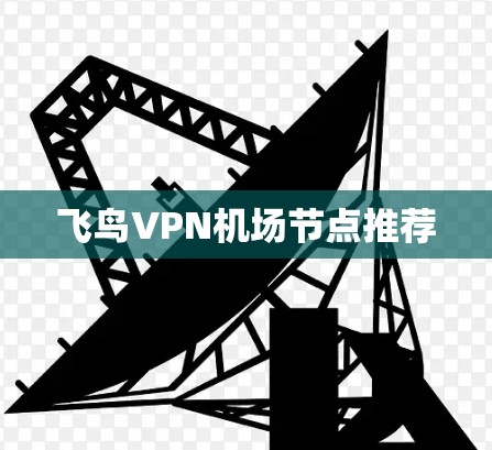 飞鸟VPN机场节点推荐