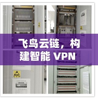 飞鸟云链,构建智能 VPN 网络