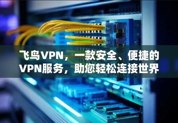飞鸟VPN,一款安全、便捷的VPN服务,助您轻松连接世界