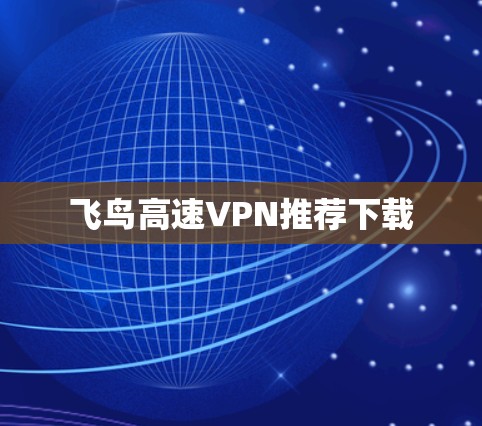飞鸟高速VPN推荐下载