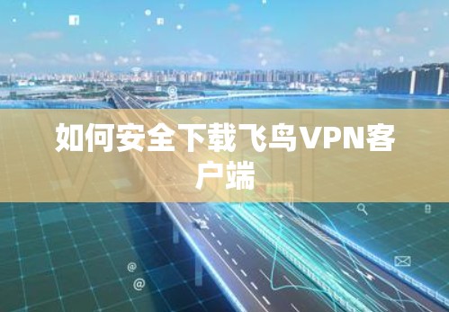 如何安全下载飞鸟VPN客户端 如何安全下载飞鸟VPN客户端