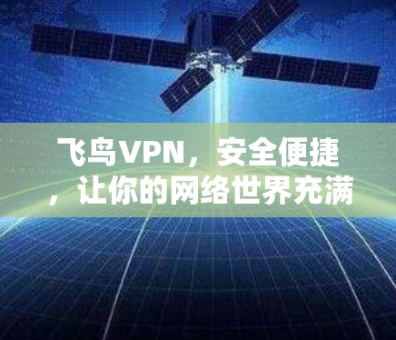 飞鸟VPN，安全便捷，让你的网络世界充满星辰大海！
