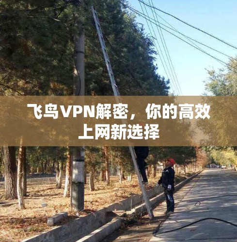 飞鸟VPN解密,你的高效上网新选择
