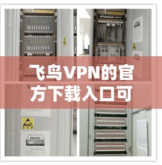 飞鸟VPN的官方下载入口可以通过以下步骤访问