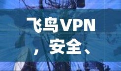 飞鸟VPN,安全、便捷、anywhere轻松