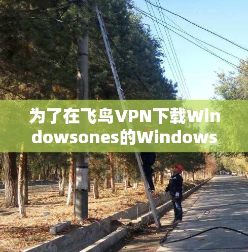 为了在飞鸟VPN下载Windowsones的Windows版,可以按照以下步骤进行操作