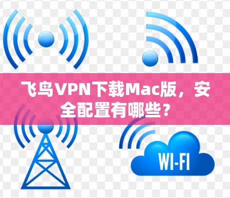飞鸟VPN下载Mac版，安全配置有哪些？