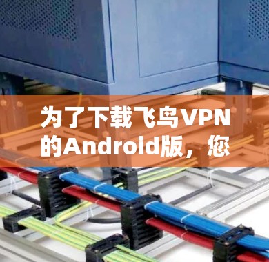 为了下载飞鸟VPN的Android版,您可以按照以下步骤操作