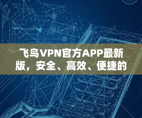 飞鸟VPN官方APP最新版,安全、高效、便捷的VPN选择