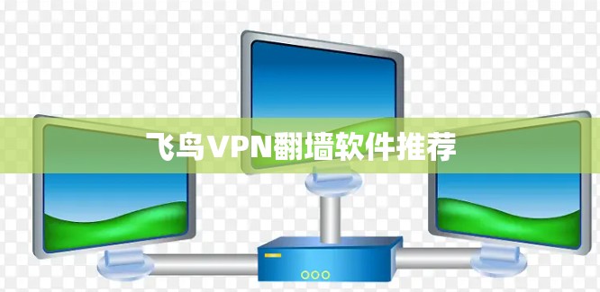 飞鸟VPN翻墙软件推荐