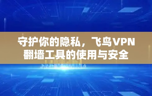 守护你的隐私,飞鸟VPN翻墙工具的使用与安全