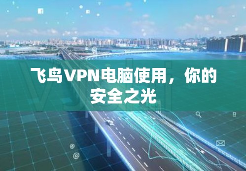 飞鸟VPN电脑使用，你的安全之光