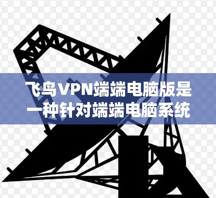 飞鸟VPN端端电脑版是一种针对端端电脑系统的网络VPN应用,旨在提供更强大的配置、更高的性能和更丰富的功能,以满足用户对多种设备连接和更复杂需求的需要。以下是该应用的主要特点总结