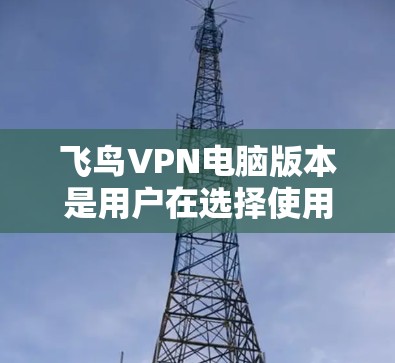 飞鸟VPN电脑版本是用户在选择使用飞鸟VPN时的一个关键因素。以下是一些关键信息和建议,帮助您更好地理解如何选择适合自己的VPN版本