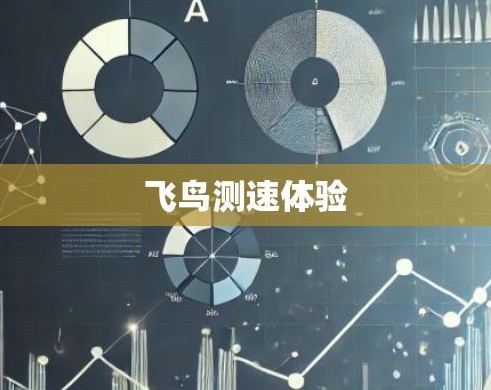 飞鸟测速体验 飞鸟测速体验