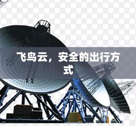 飞鸟云,安全的出行方式
