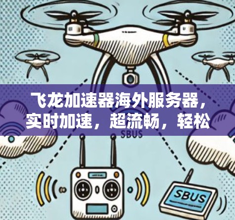 飞龙加速器海外服务器，实时加速，超流畅，轻松应对复杂网络