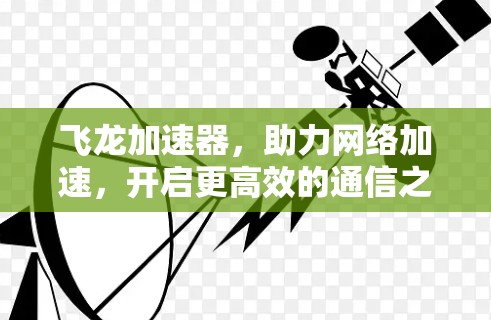 飞龙加速器,助力网络加速,开启更高效的通信之旅