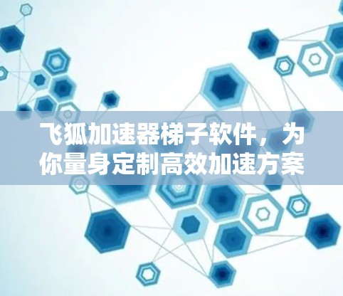 飞狐加速器梯子软件,为你量身定制高效加速方案