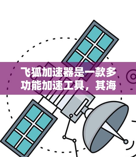 飞狐加速器是一款多功能加速工具,其海外网络的分布情况如下