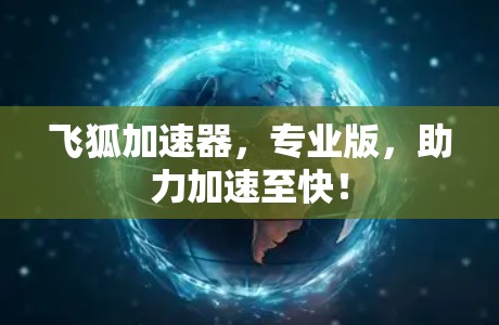 飞狐加速器，专业版，助力加速至快！