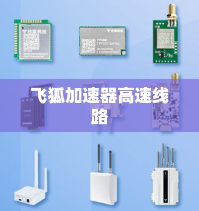 飞狐加速器高速线路