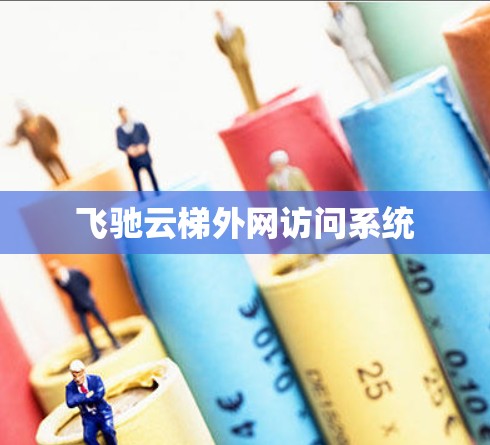 飞驰云梯外网访问系统