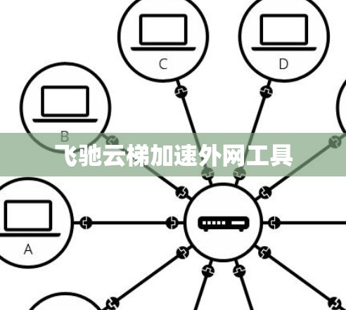 飞驰云梯加速外网工具