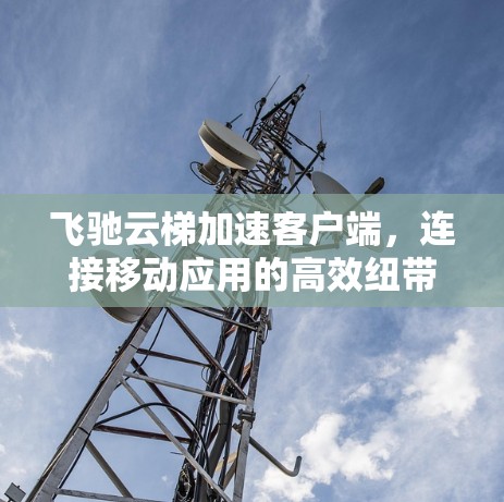飞驰云梯加速客户端,连接移动应用的高效纽带