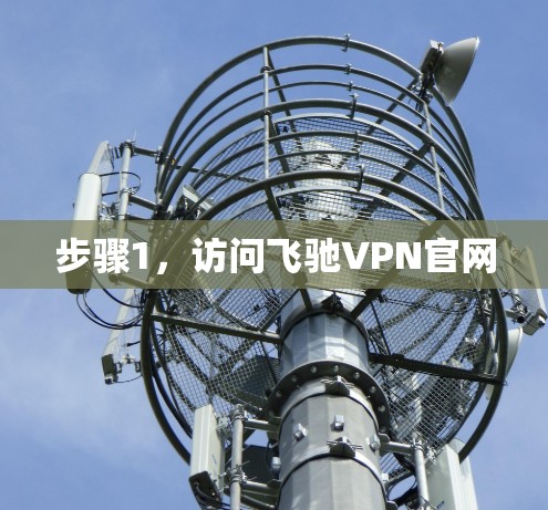 步骤1，访问飞驰VPN官网