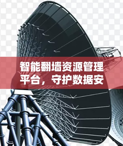 智能翻墙资源管理平台,守护数据安全的智慧之网
