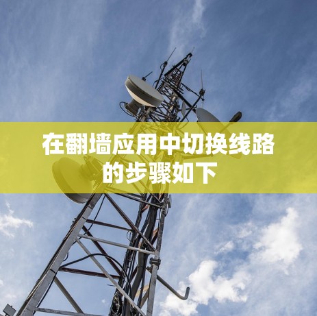 在翻墙应用中切换线路的步骤如下