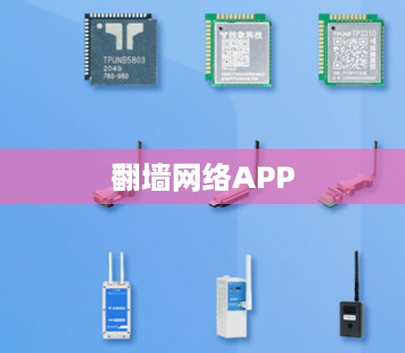 翻墙网络APP